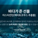 헬스아이 이미지