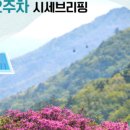 마포명품공인중개사사무소 이미지
