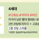 더 루미 이미지