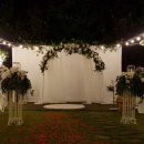 트립레시피 이미지