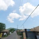 성읍리-4 이미지