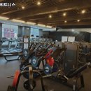 초콜릿 휘트니스 이미지