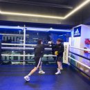 한국체대 복싱클럽 이미지