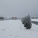 성호농장2 이미지