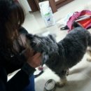 조이병원 이미지