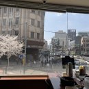 충무로 | 충무로맛집 찾다가 벚꽃뷰+치즈뼈구이 대박 조합 발견! 한사리감자탕&amp;뼈구이 충무로점 후기