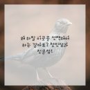 슬기로운 렌탈 이미지