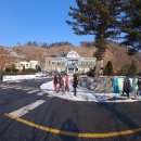 강림초등학교 앞 이미지