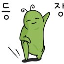 로즈화이트 이미지