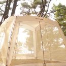 뉴 퍼시픽 이미지