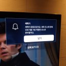 양지구매대행