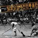 반찬요정 이미지