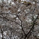 중앙공원 2지구 화장실 이미지