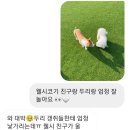 코지독하우스 이미지