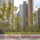 모산영신지구내공원 이미지