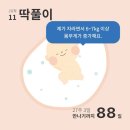 짬뽕생각 이미지
