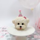 멍뭉다과 이미지