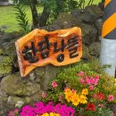 한담 낭뜰 | [제주] 제주 애월 독채 숙소 ‘한담 낭뜰’ 후기 🏝️