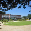 경기도 양평군 단월초등학교 이미지