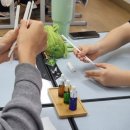 밀성제일고등학교 이미지