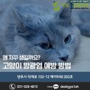덕계 원 동물병원 이미지