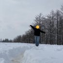 구남매목장 | 강릉 여행, 맛집들과 대관령양떼목장