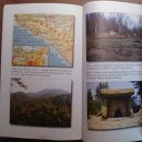 아나스타시아 이미지