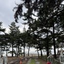 신나로힐링펜션 이미지