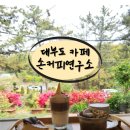 손파티연구소