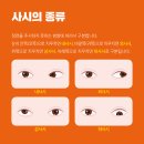 내가 사시라니😱 한국아이테라피센터 본점 시기능훈련 체험후기