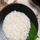 자연산회통영붕장어 이미지