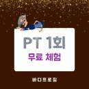 바디프로짐 이미지