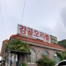 감골오리향 이미지