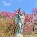 금산농협남일지점 | 충남 금산 가볼 만한 곳 금산천 봄꽃축제 홍도마을 홍도화축제 보곡산골 산 벚꽃축제 4월 꽃구경 금산 여행