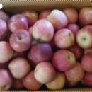 전원말길 1 이미지