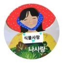 우아의사계절 이미지