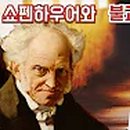 지혜의빛 이미지
