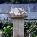 문등1리 이미지