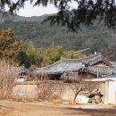 일신정 이미지