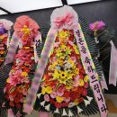 축하화환부터 동양난까지, 꽃배달 희섬플라워 후기