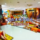 엑스포해수피아 이미지