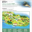 3월01일테마 통영 장사도 (동백꽃 ) &amp; 바람의언덕 트레킹 안내 이미지