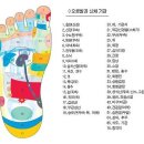 발건강 이미지