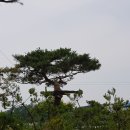 주식회사 조아 이미지