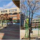 부천중앙초등학교 이미지