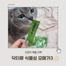 닥터오케이 | 알약 먹기 수월해진 강아지 고양이 식물성 오메가3, 닥터뮨 솔직 후기