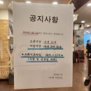 샤브향 연산점 | 부산 연산동 샤브샤브 맛집 샤브향 부산연산점 후기