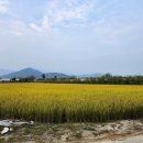 천재원공인중개사사무소 이미지