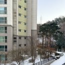 채스에프