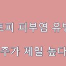 몸바른한의원 이미지